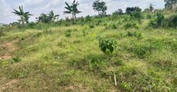 PLOTS OF LAND AVAILABLE FOR SALE @ SEPASE AHODWO