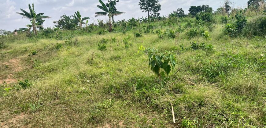 PLOTS OF LAND AVAILABLE FOR SALE @ SEPASE AHODWO