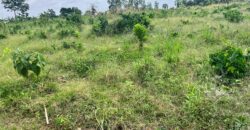 PLOTS OF LAND AVAILABLE FOR SALE @ SEPASE AHODWO
