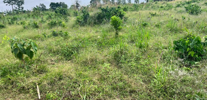PLOTS OF LAND AVAILABLE FOR SALE @ SEPASE AHODWO