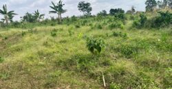 PLOTS OF LAND AVAILABLE FOR SALE @ SEPASE AHODWO