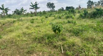 PLOTS OF LAND AVAILABLE FOR SALE @ SEPASE AHODWO