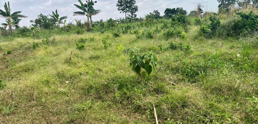 PLOTS OF LAND AVAILABLE FOR SALE @ SEPASE AHODWO